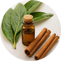 Cinnamon Leaf Oil