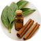 Cinnamon Leaf Oil