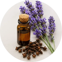 Clove & Lavender Oil