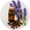 Clove & Lavender Oil