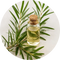 Organic Tea Tree Oil