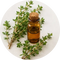 Organic Thyme Oil